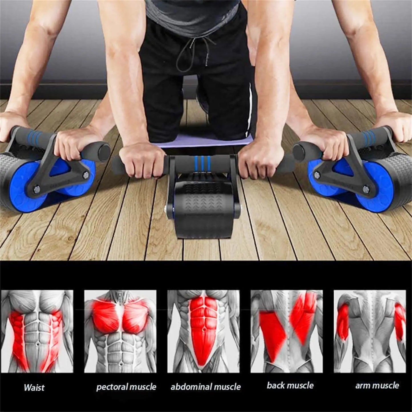 Springback Wheels Roller Domestic Abdominal Exerciser Blue